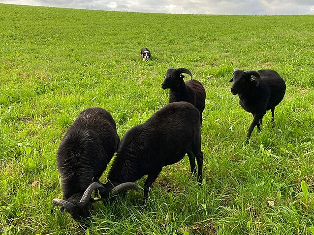 38958a00-0539-4be6-962c-e95d8d728e99