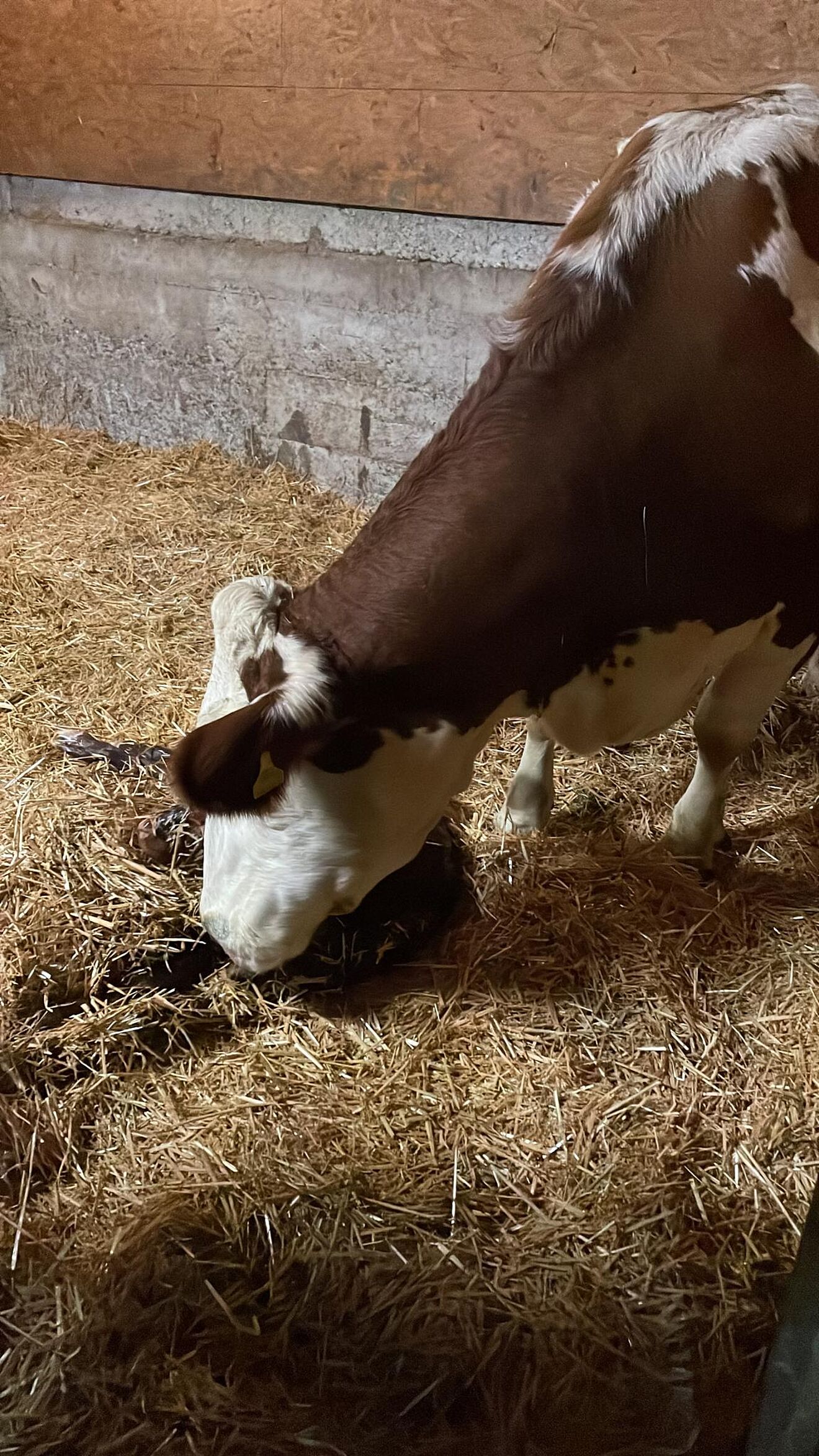 PHOTO-2021-11-25-22-07-05