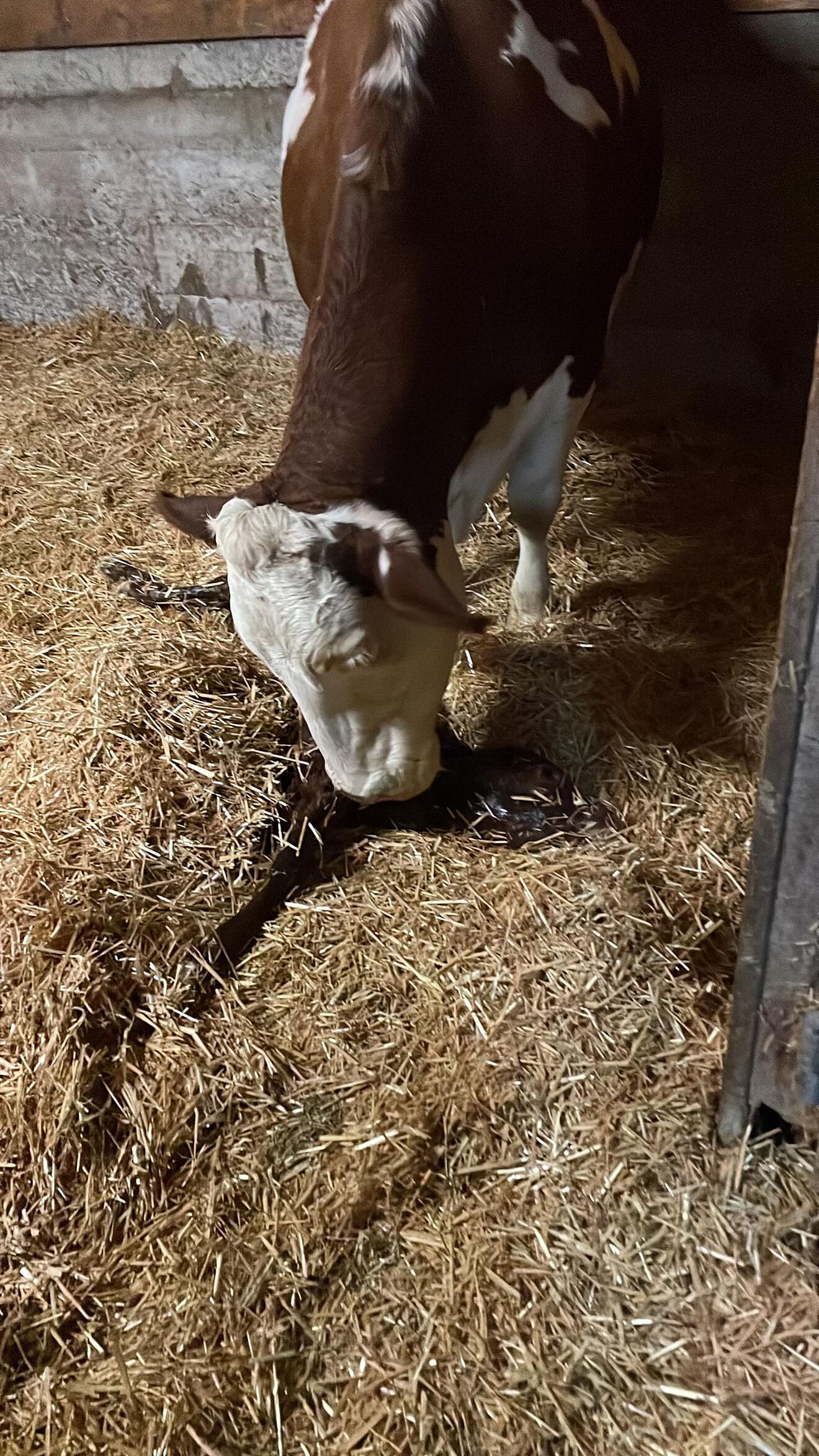 PHOTO-2021-11-25-22-05-56