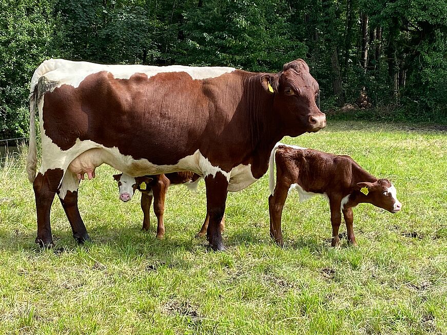 WhatsApp_Image_2022-01-09_at_19