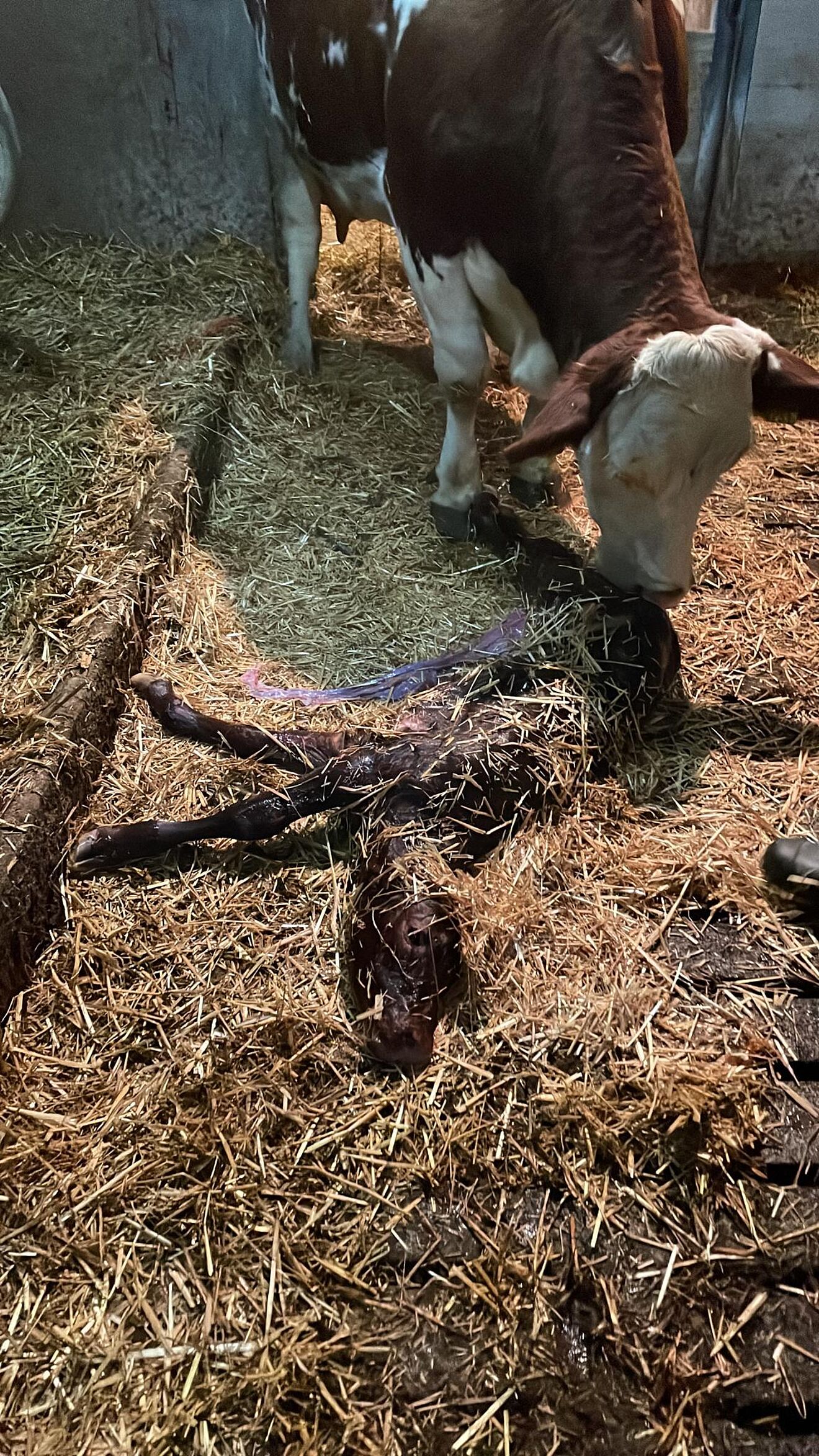 PHOTO-2021-11-25-22-03-37