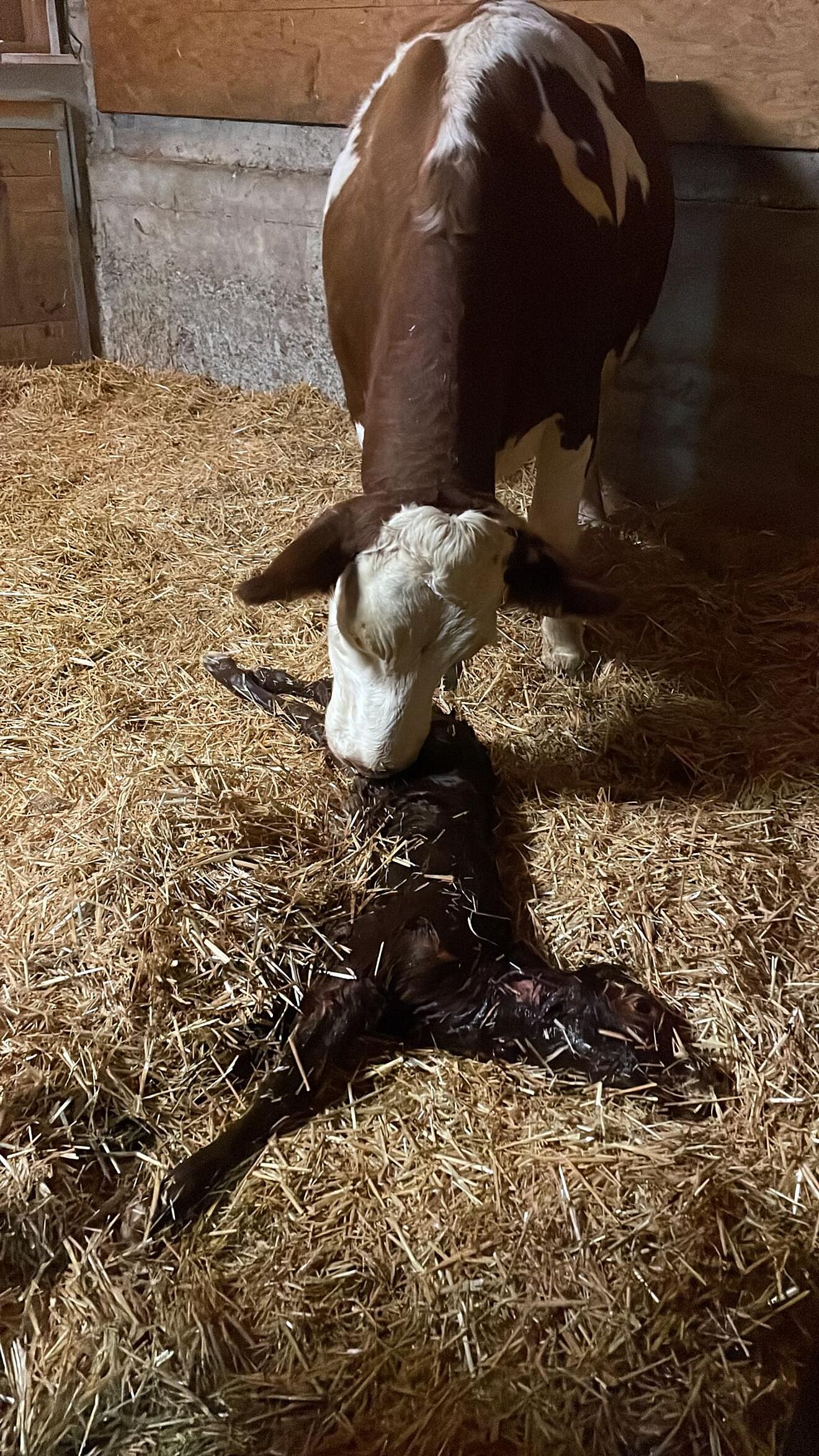 PHOTO-2021-11-25-22-06-49